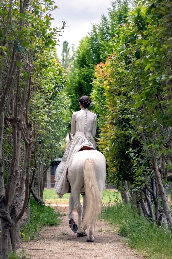 Cavalière sur un cheval blanc dans une allée arborée du domaine, photographiée de dos. Photo du partenaire.